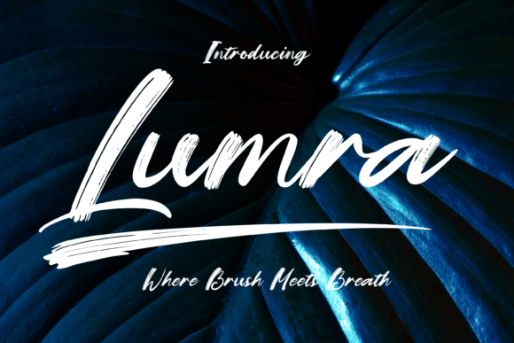 Lumra: A Bold Script Font