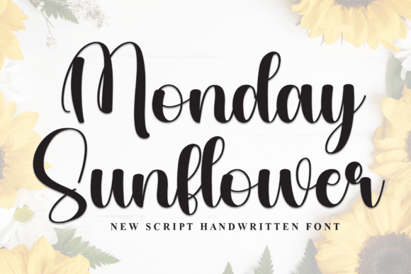 Monday Sunflower: A Stylish Script Font