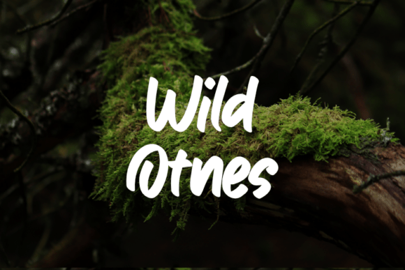 Wild Otnes: A Versatile Script Font